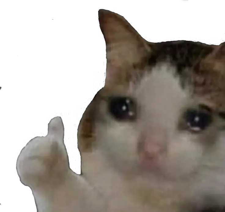 Sadcatthumbsup Discord Emoji Sad But Happy Cat Png Emoji Thumbs Up Png