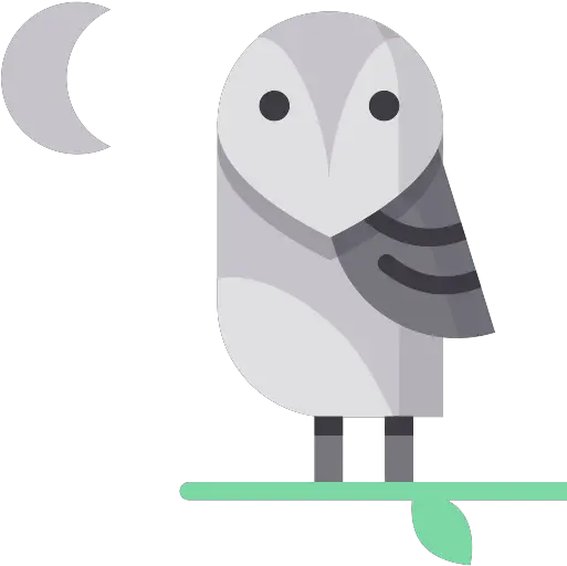 Owl Vector Svg Icon Soft Png Barn Owl Icon