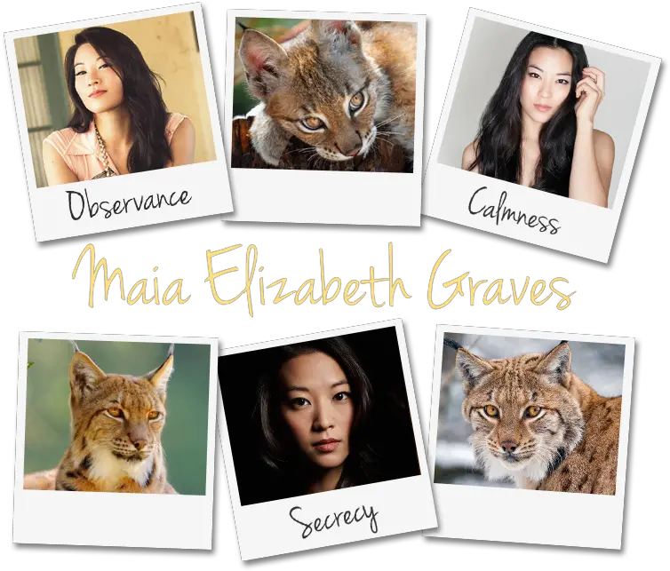 Leriamae Roleplayer Guild Cat Png Arden Cho Png