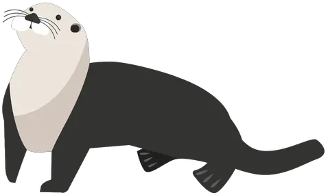 Transparent Png Svg Vector File Nutria Png Otter Png