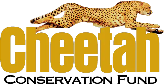 Cheetah Conservation Fund Cheetah Conservation Fund Namibia Png Cheetah Logo