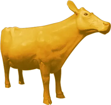 The Golden Icon Of Iowa Cow Png University Iowa Icon