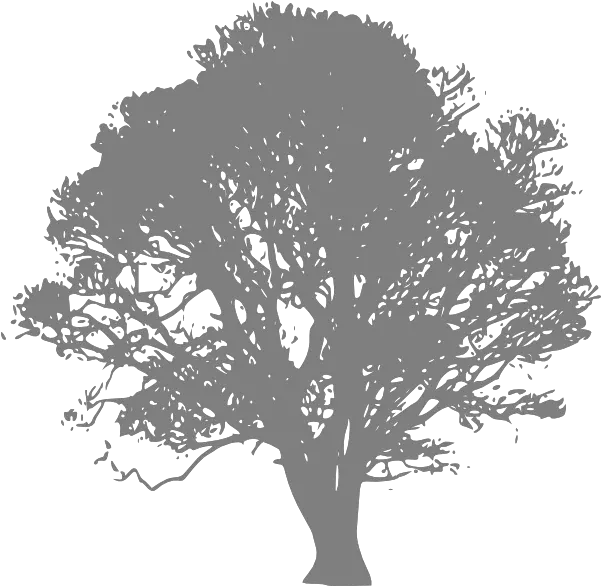 Silhouette Grey Tree Png Burial Of The Rats Bram Stoker Oak Tree Silhouette Png