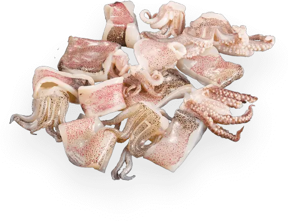 Patagonian Squid Rings And Tentacles U2013 Calamari Trading Salumi Png Tentacles Png