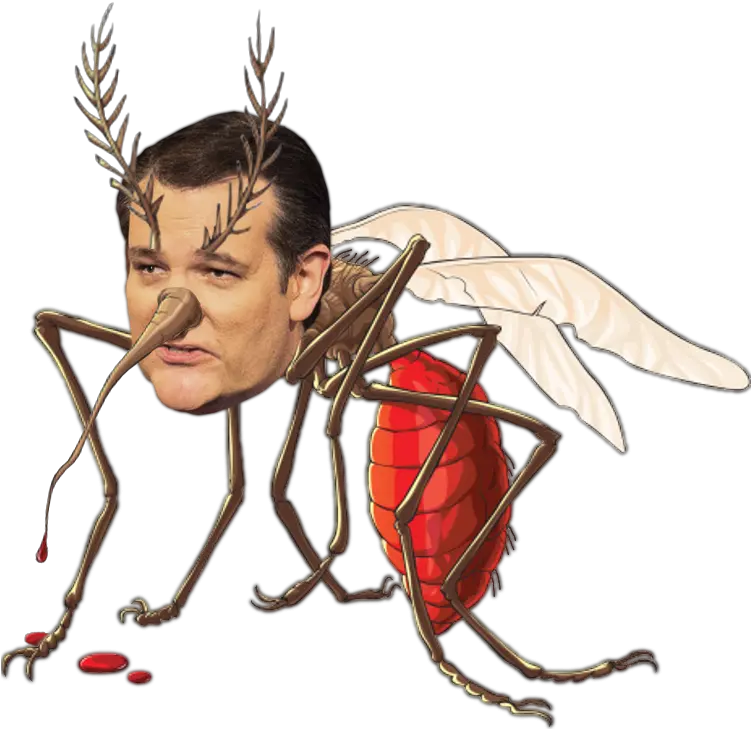 Mosquito Face Insect Nose Invertebrate Head Fictional Ted Mosquito Face Png Nose Png