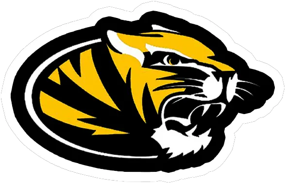 Festus Team Home Festus Tigers Sports Black And Yellow Tiger Logo Png Tigers Png