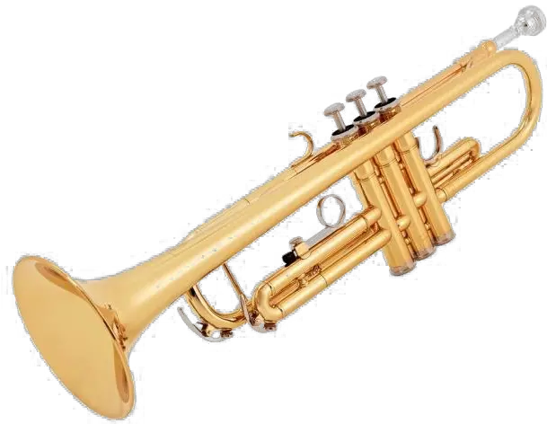 Trumpet Transparent Band Memes French Horn Png Trumpet Transparent