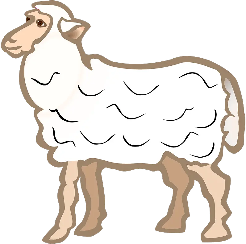 Clipart Sheep Coloured Png Sheep Transparent