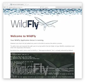 Wildfly Admin Guide Wildfly 10 Png In The Accompanying Figure The Icon Labeled “your Name” At The Top Is The ____ Folder.