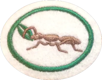 Ants Emblem Png Ants Png