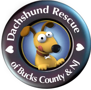 Home Dachshund Rescue Of Bucks County U0026 Nj Language Png Cks Icon