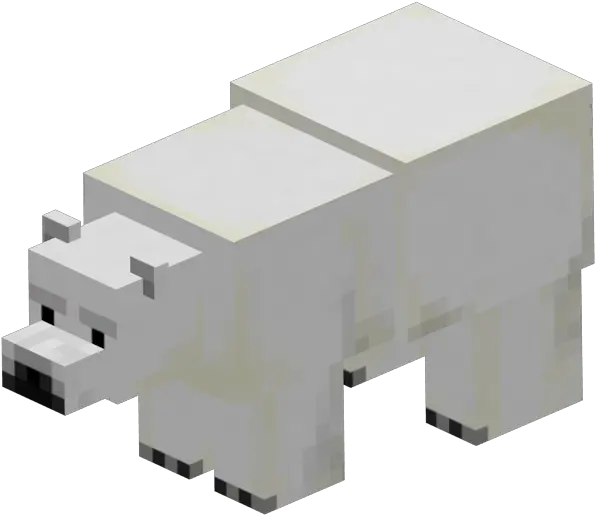 Polar Bearpng Minecraft Wiki Polar Bear Png