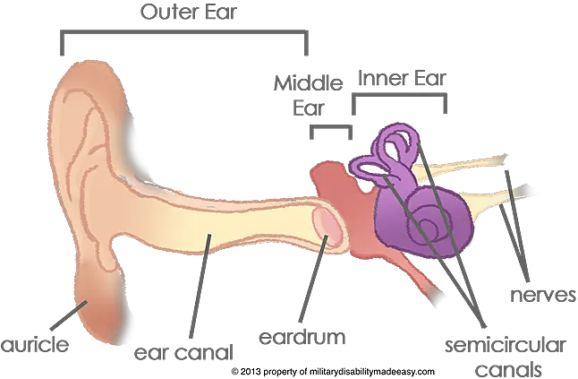 Military Disability Ratings For Ear Conditions Png Transparent Background