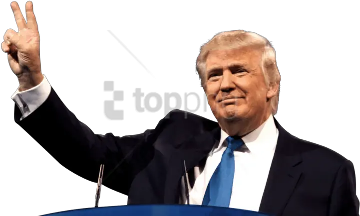 Free Png Donald Trump Transparent Donald Trump Clipart Donald Trump White Background Donald Trump Signature Png