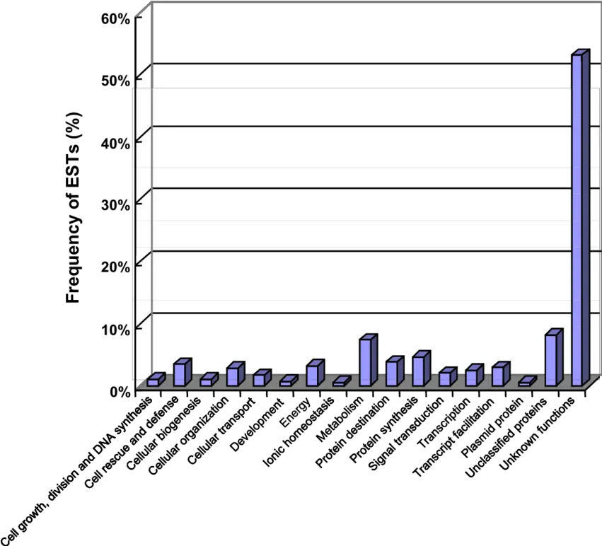 Functional Categorization Of The Blast Results Diagram Png Energy Blast Png