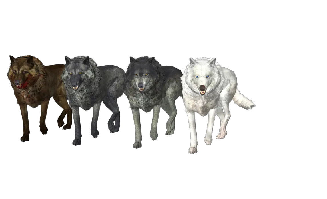 Download Wolf Pack Free Png Image Wolf Pack Png Wolves Png