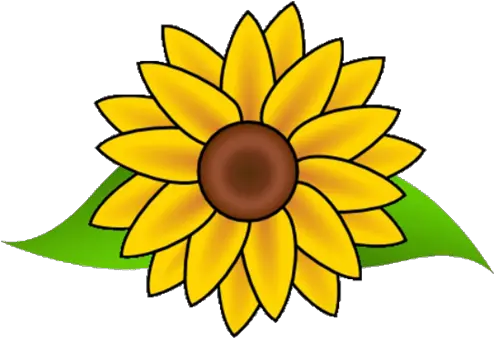 Cropped Easy Drawing Of A Sunflower Png Sunflower Logo