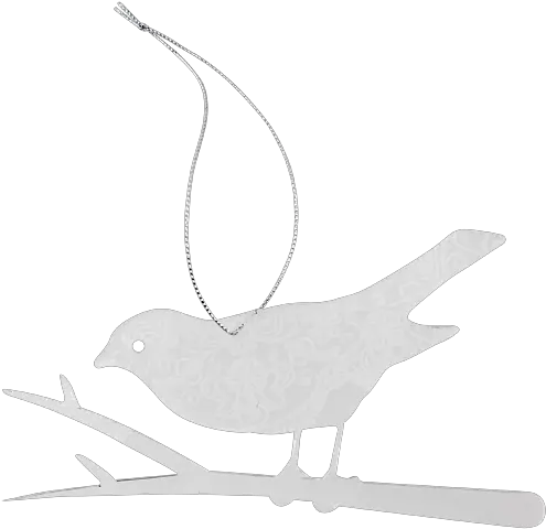 Clear Lace Christmas Robin Gull Png Robin Transparent