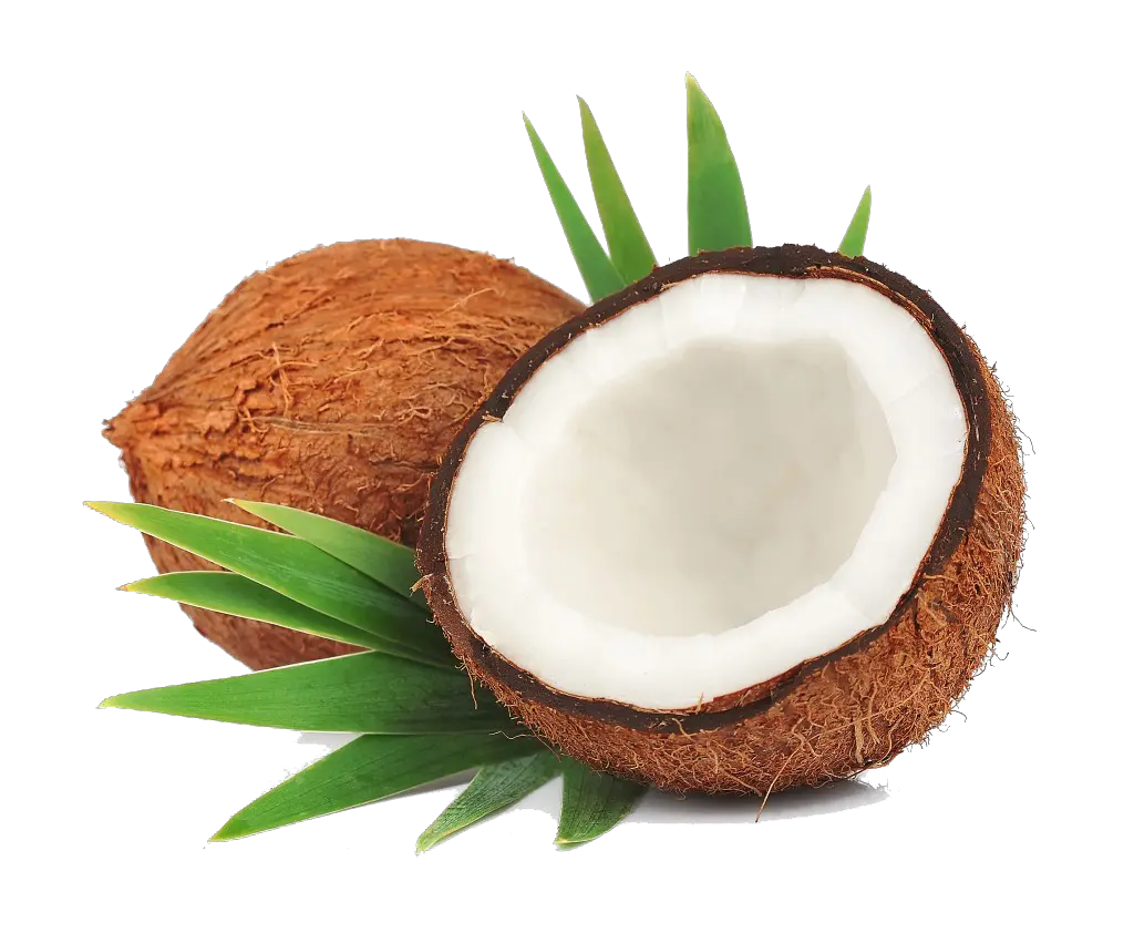 Coconut Png Transparent 2 Image Transparent Background Coconut Png Coconut Png