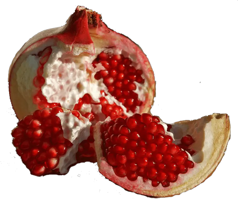 Pomegranate Transparent Free Png