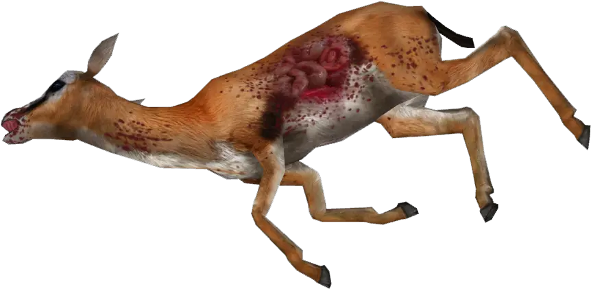 Gazelle Png Transparent Gazellepng Images Pluspng Dead Gazelle Png Deer Png