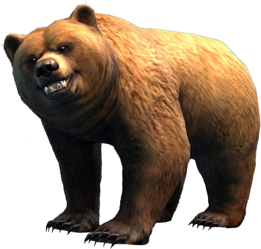 Bear Guild Wars 2 Wiki Gw2w Guild Wars 2 Bear Png Brown Bear Png