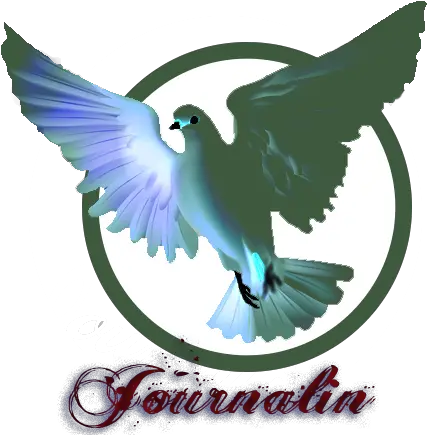 Dove Logo 24 Text Out Trans Smaller Circle U2013 Journalin Snsd Png Dove Logo Png