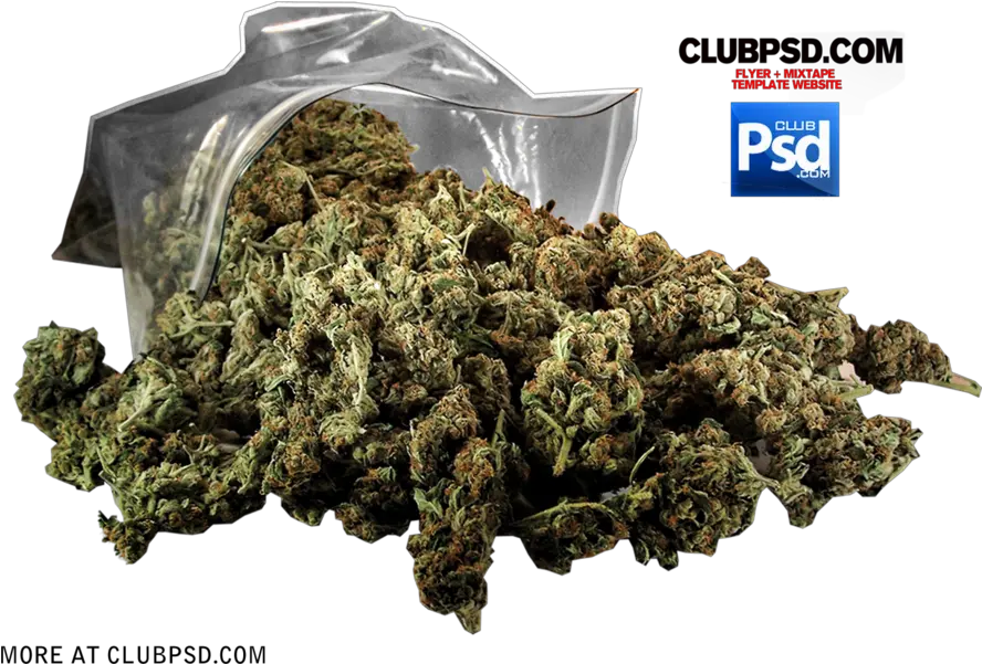 Bag Of Weed Png 1 Image Bag Of Weed Transparent Weed Png