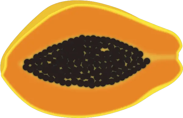 Free Papaya Png Download Clip Art Papaya Png Vector Papaya Png