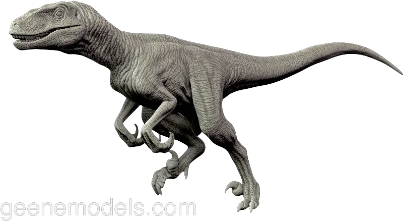 Download Velociraptor Png Transparent Raptor Running Velociraptor Png