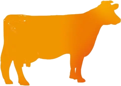 Cow Transparent Png Images Animal Figure Cow Face Icon