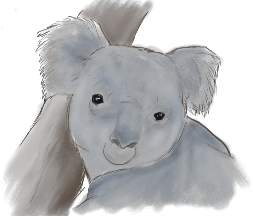 Watercolor Koala Clipart Koala Png Koala Transparent