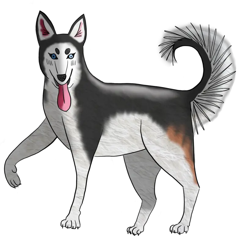 Artwork U2014 Elyse Wietstock Png Husky