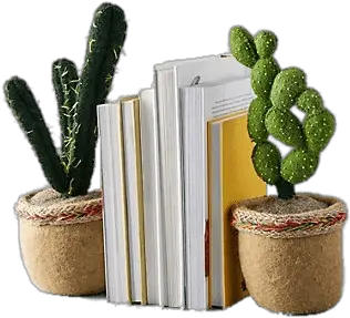 Imitation Succulent Bookends Transparent Png Stickpng Bookends Png Succulent Transparent Background