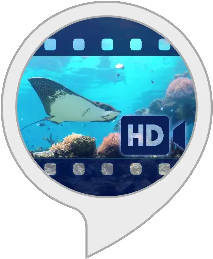 Underwater Manta Ray Png Underwater Png