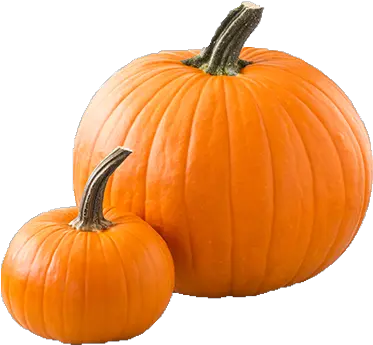 Pumpkins Png 2 Image Pumpkins Png Pumpkins Png