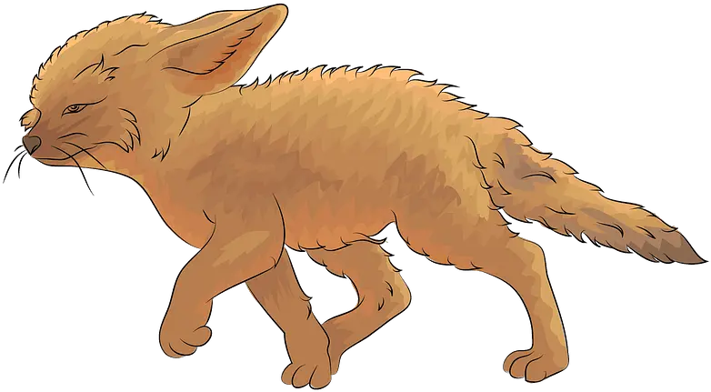 Fennec Fox Clipart Free Download Transparent Png Creazilla Fennec Fox Silhouette Fox Tail Png