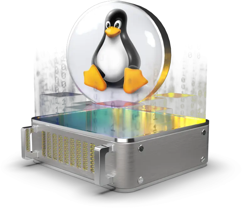 Linux Vps Adélie Penguin Png Linux Server Icon