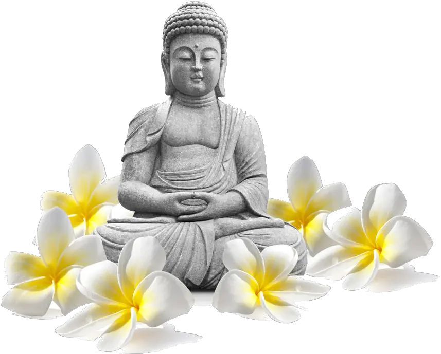 Buddha Png Best Buddha Images Hd Buddha Icon