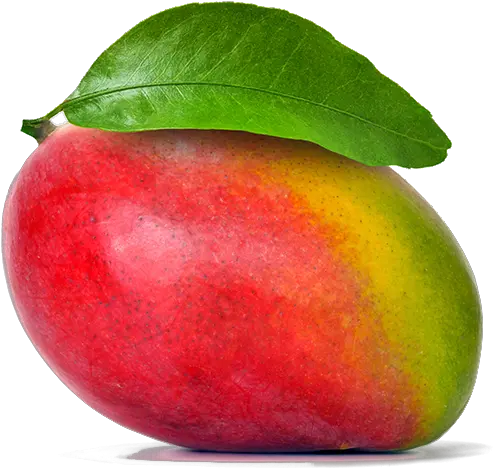 Mango Apple Smoothie Fruit Food Mango Png Download 800 Mango Png Mango Transparent Background