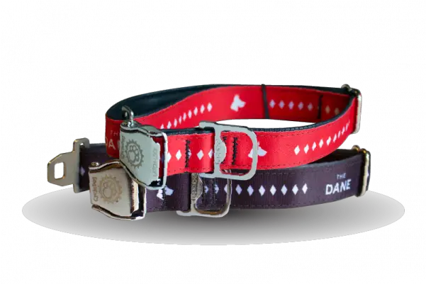 Great Dane Dog Collar Unisex Png Dog Collar Png