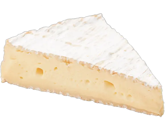 Cheeses Of Europe Cheesecake Png Cheese Wheel Icon