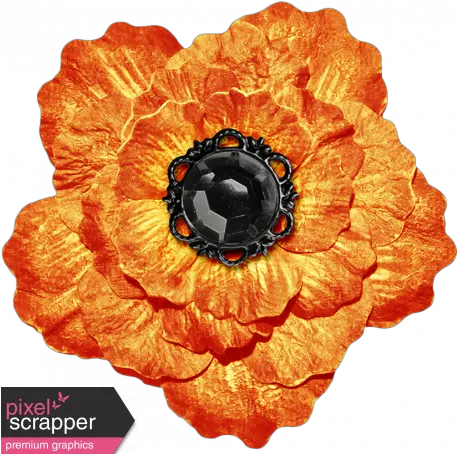 No Tricks Just Treats Orange And Black Vintage Flower English Marigold Png Vintage Flowers Png