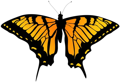 Detailed Orange Butterfly Design Transparent Png U0026 Svg Butterfly Outline Design Butterflies Png