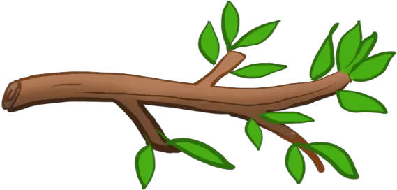 Module Lesson When Seeds Stem Of Plant Png Cartoon Picture Of Stem Plant Png