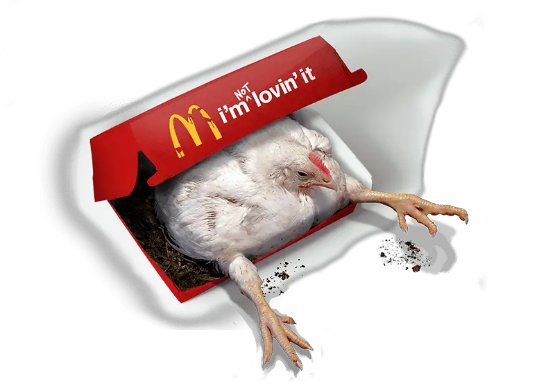 Mcdonalds Logo I M Lovin Transparent Cartoon Jingfm I M Not Lovin It Png Mc Donalds Logo