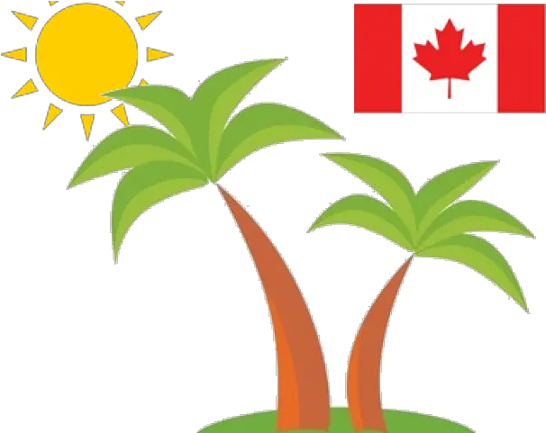 Puerto Rico Clipart Palm Tree Canada Flag Png Download Canada Flag Puerto Rico Flag Png