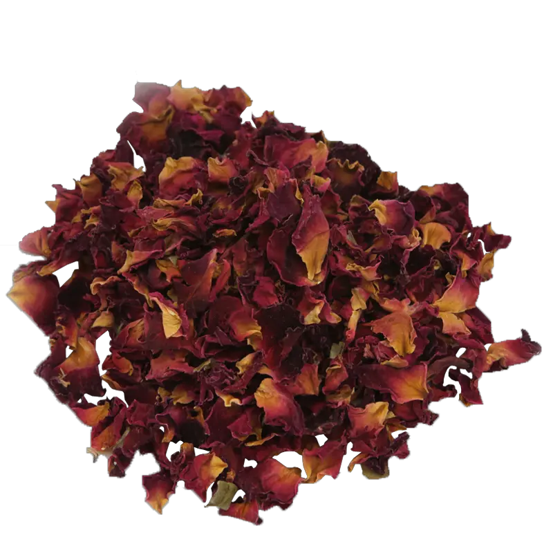 Red Rose Petals Png Transparent Dried Rose Petals Rose Petals Png