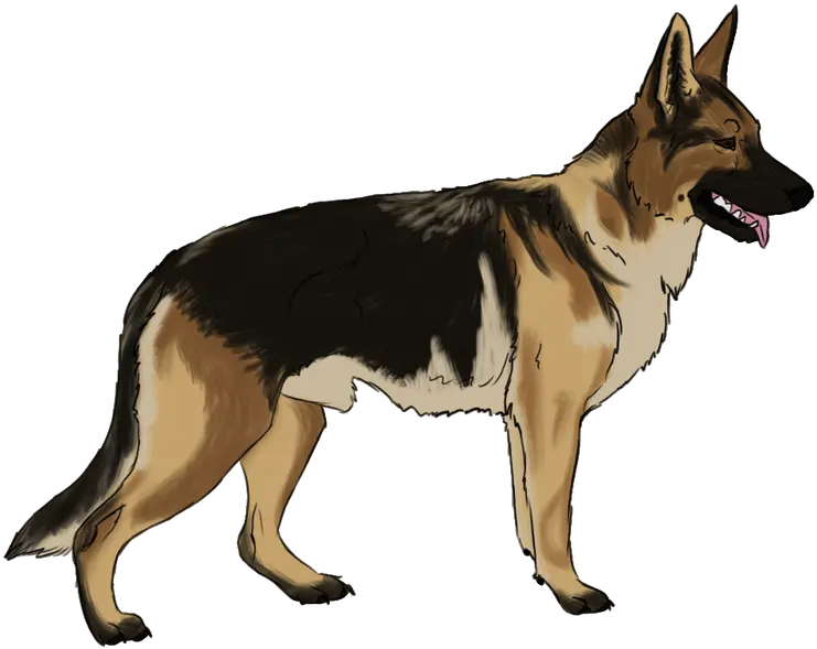 Funny Dog Png German Shepherd Dog Clipart German Shepherd Transparent