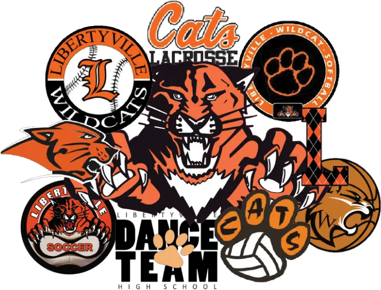 Athletic Department Plans To Restructure Logos And Core Libertyville Wildcats Png Into The Woods Logos